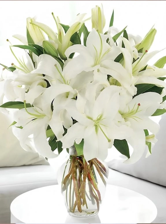 Vazoda Büyük Boy Lilyum