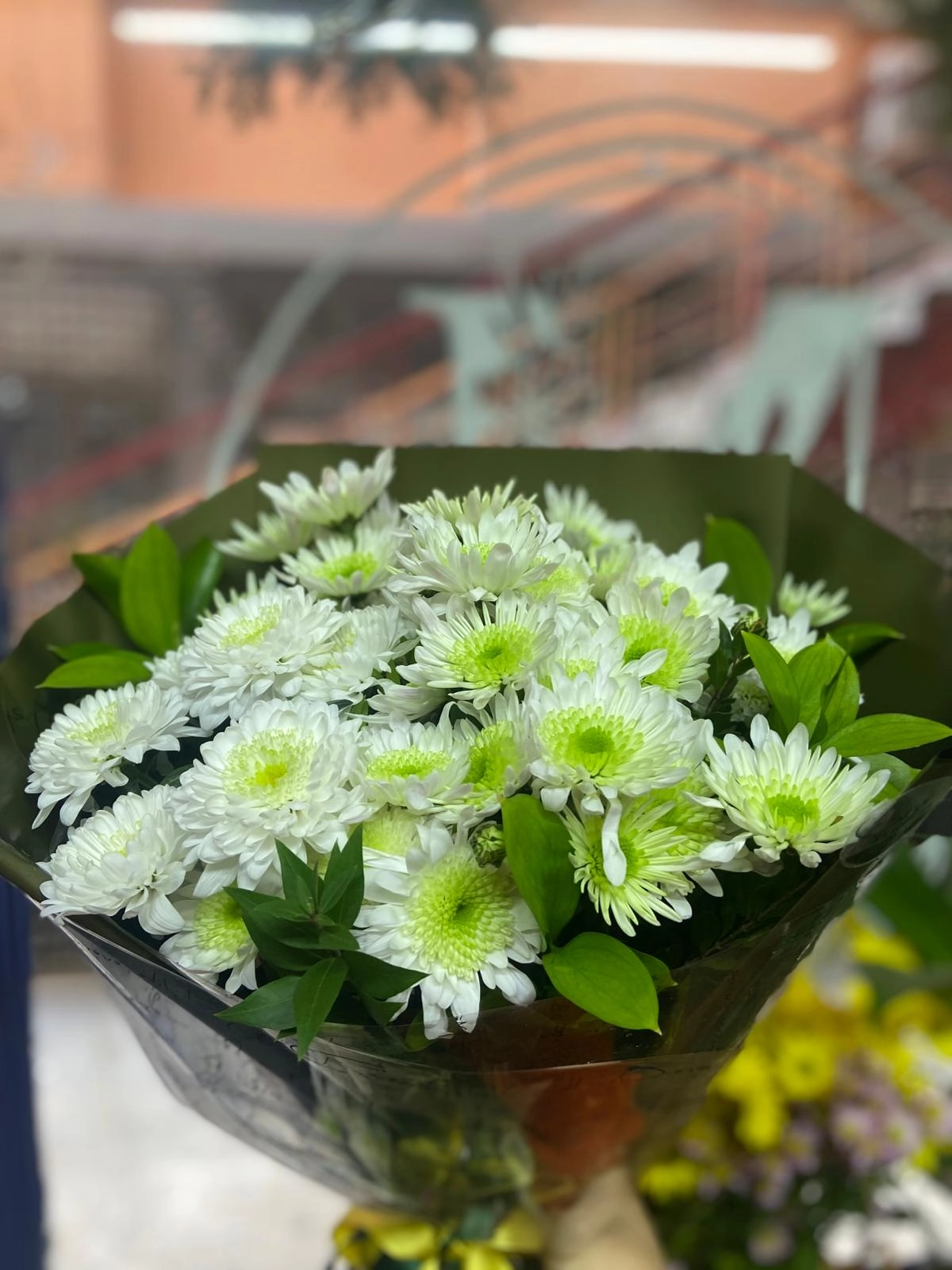 Yeşil Kasımpatı Buketi